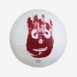 Ballon De Volley Wilson Seul Au Monde