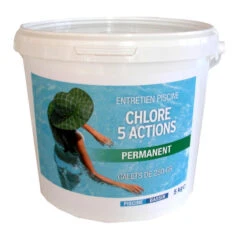 Chlore Lent 5 Actions Galet 250g 5kg