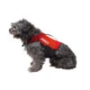 JOBE GILET DE FLOTTAISON POUR CHIEN POUR PRATIQUER LE STAND UP PADDLE, KAYAK, VOILE
